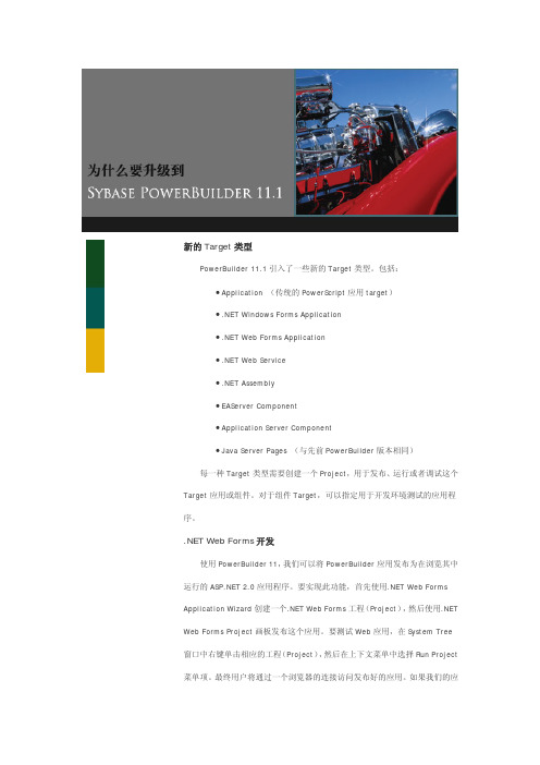 为什么升级到PowerBuilder 11