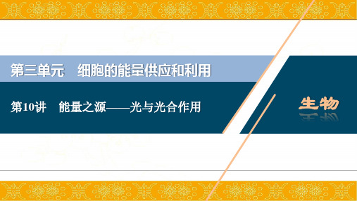 2021版高考生物(人教版)一轮复习课件：第三单元 第10讲 能量之源——光与光合作用
