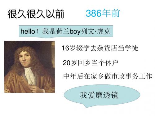 京改版七年级上册第一章第二节认识我们身边的其他生物课件 (共33张PPT)