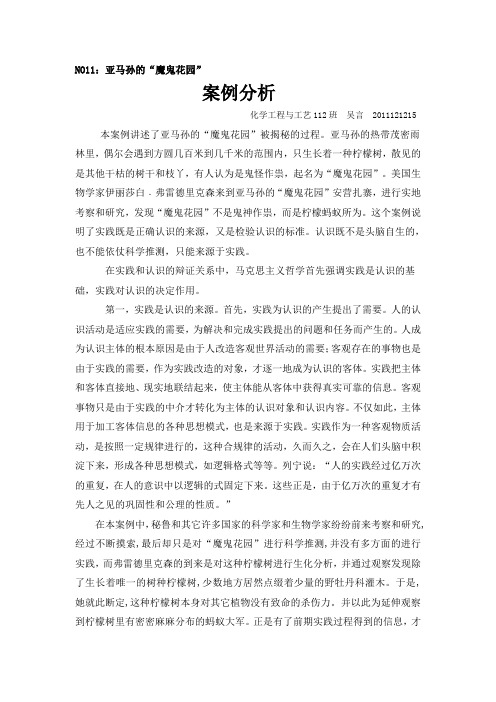 案例分析 (1)