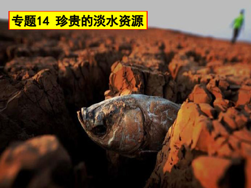 专题14珍贵的淡水资源
