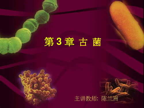 第3章 古菌