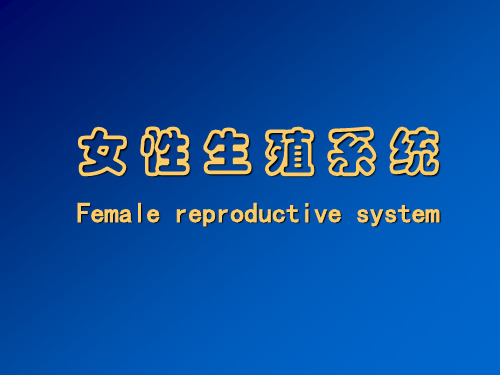 第19章 女性生殖系统