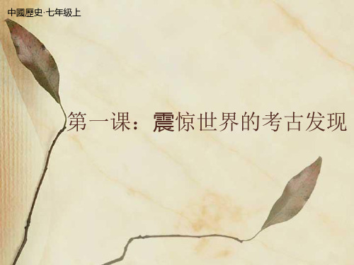 震惊世界的考古发现 PPT课件