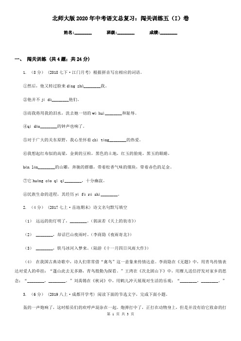北师大版2020年中考语文总复习：闯关训练五(I)卷