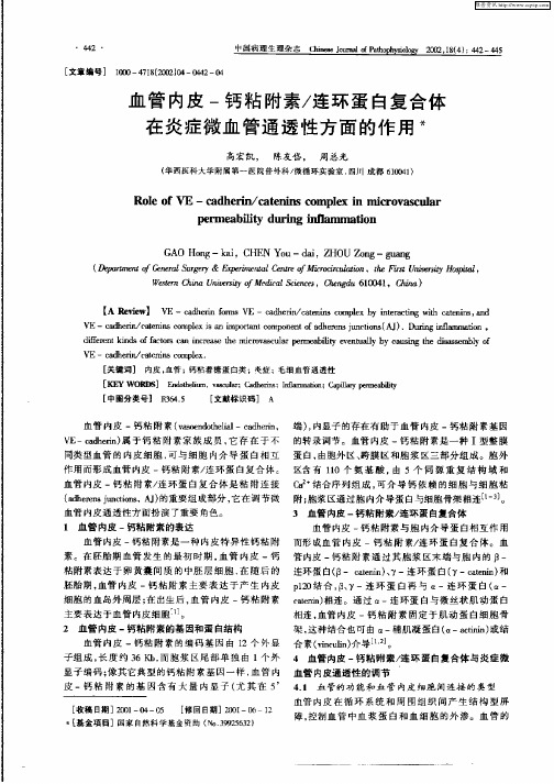 血管内皮—钙粘附素／连环蛋白复合体在炎症微血管通透性方面的作用