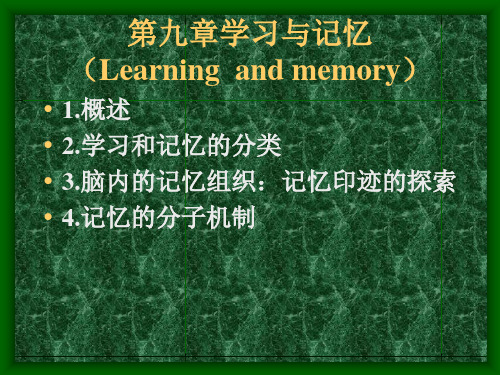 神经生物学课件chapter9
