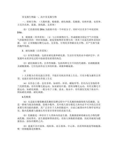 常见微生物介绍