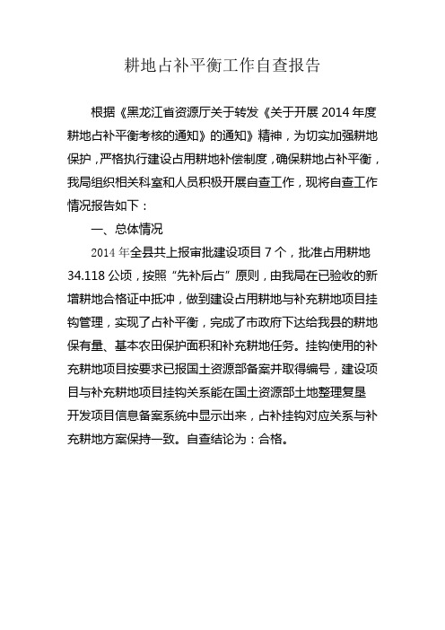 占补平衡自查报告)