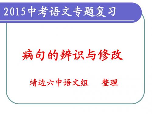 2015年语文中考复习专题：修改病句