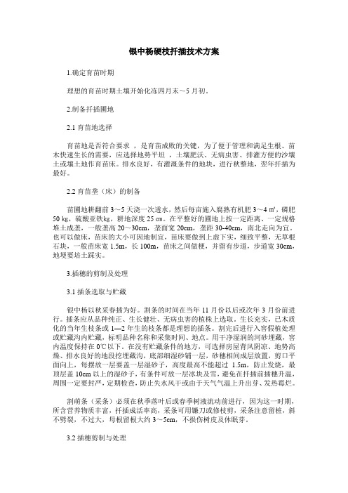 银中杨硬枝扦插技术方案