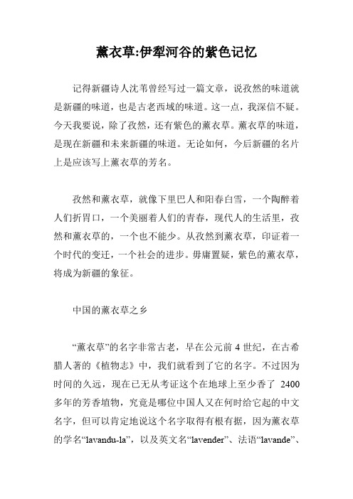 薰衣草-伊犁河谷的紫色记忆