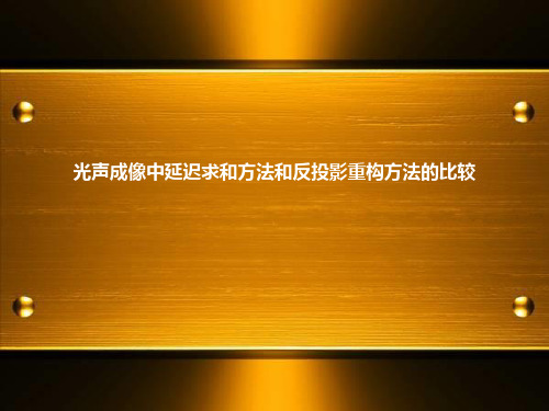 光声成像中延迟求和方法和反投影重构方法的比较ppt