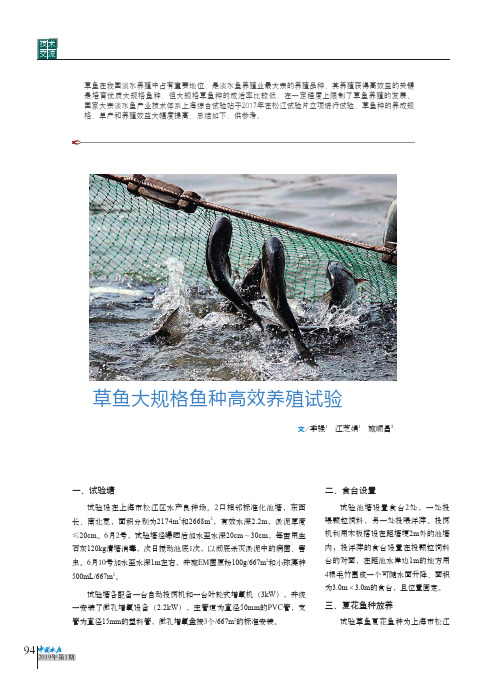 草鱼大规格鱼种高效养殖试验