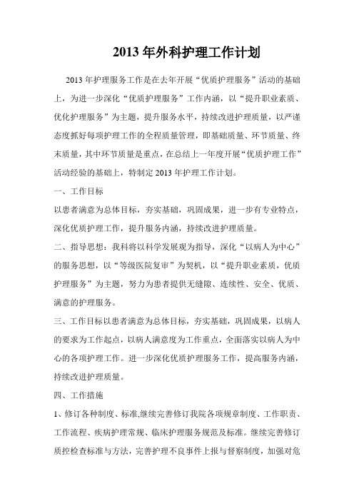2013年外科护理工作计划