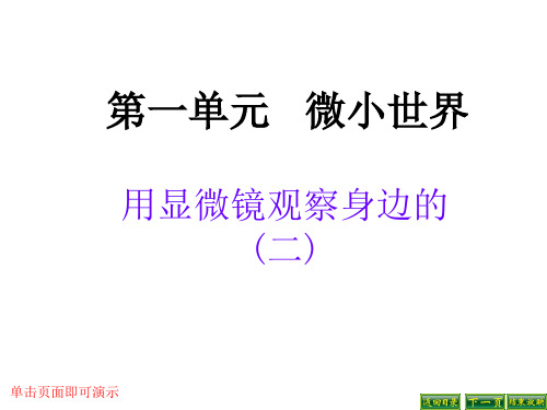 用显微镜观察身边的生命世界二ppt