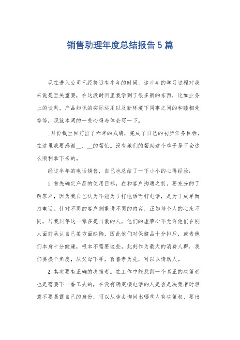 销售助理年度总结报告5篇