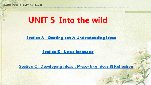 外研版高中英语新教材必修第一册：UNIT 5  Into the wild 精品教学课件