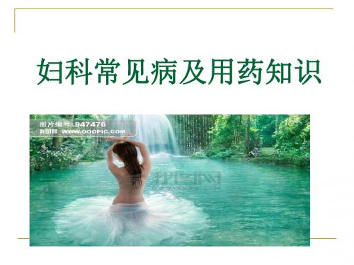 常见病专业知识-妇科