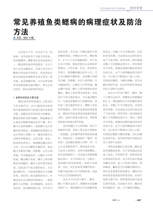 常见养殖鱼类鳃病的病理症状及防治方法