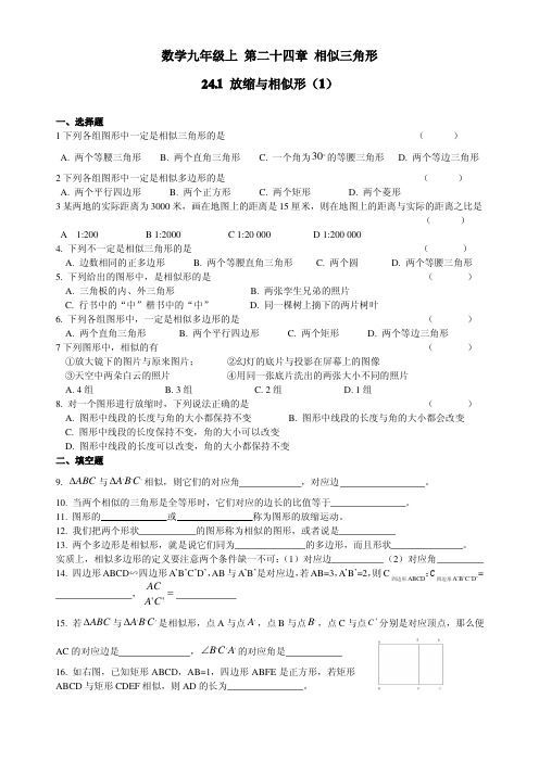 沪教版数学九年级上第二十四章相似三角形24.1放缩与相似形练习一和参考答案