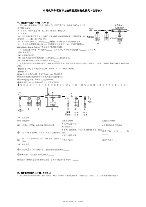 中考化学专项练习之物质性质和变化探究(含答案)