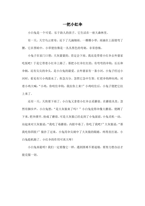 一把小红伞_小学四年级作文500字
