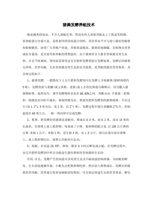 猪粪发酵养蛆技术