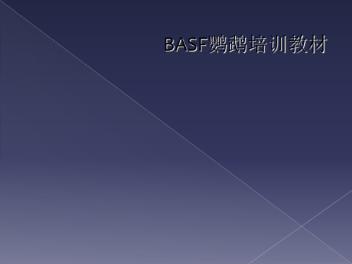 BASF鹦鹉培训教材
