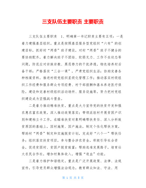 三支队伍主要职责主要职责