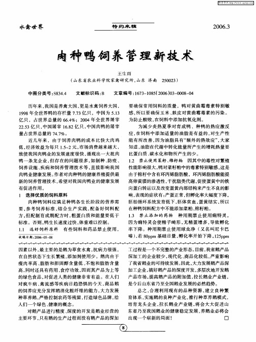 肉种鸭饲养管理新技术