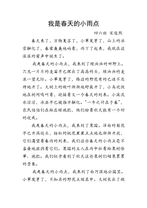 我是春天的小雨点