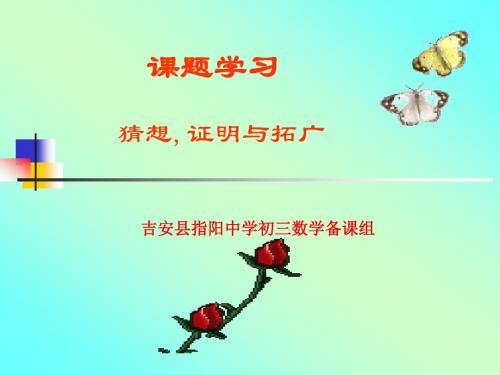 北师大版九年级上《猜想、证明与拓广》(一)课件