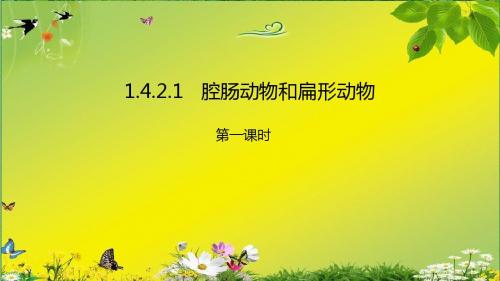 冀教版生物七年级上册1.4.2腔肠动物和扁形动物课件(37张PPT)