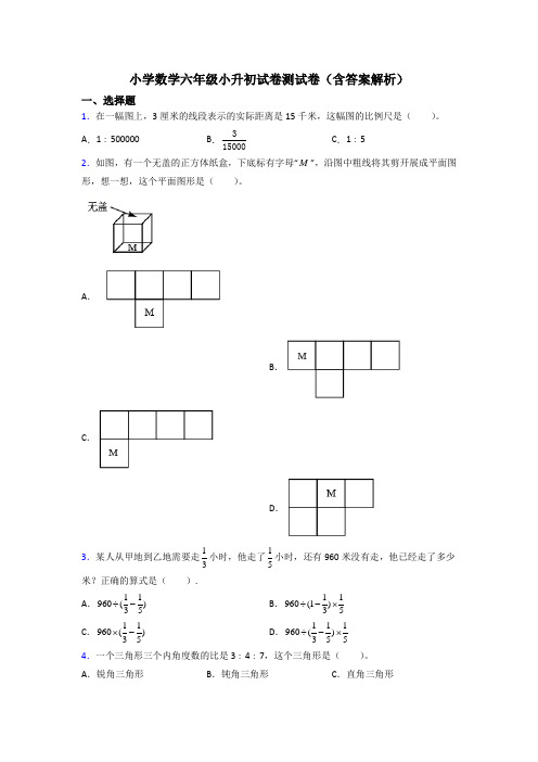 小学数学六年级小升初试卷测试卷(含答案解析)