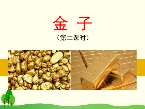《金子》课件PPT