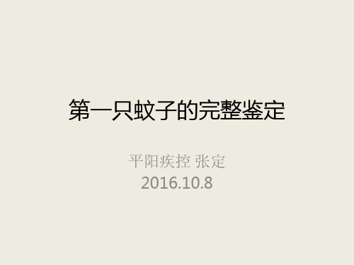 (骚扰阿蚊)第三步：第一只蚊媒鉴定