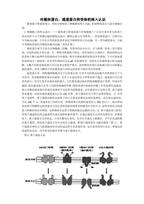 对载体蛋白、通道蛋白和受体的深入认识