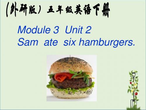 3Unit 2 Sam ate six hamburgers. (2)