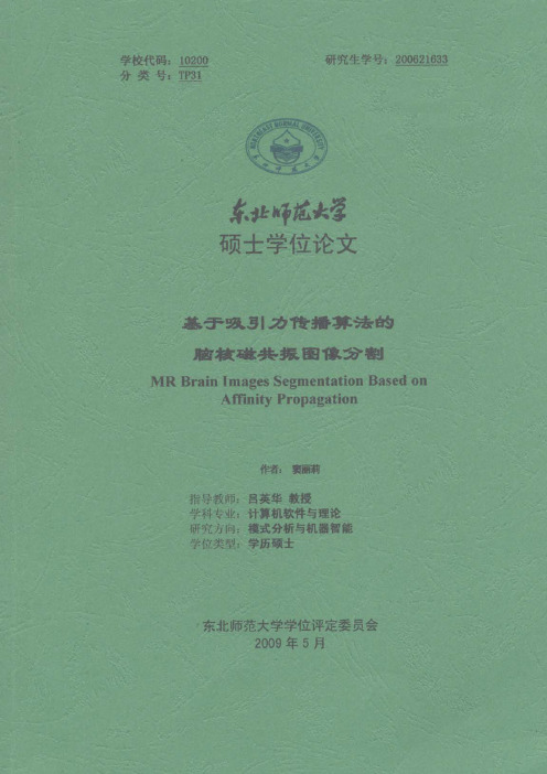 基于吸引力传播算法的脑核磁共振图像分割