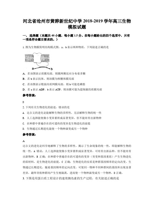 河北省沧州市黄骅新世纪中学2018-2019学年高三生物模拟试题
