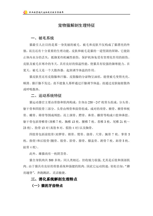 宠物猫解剖生理特征OK.