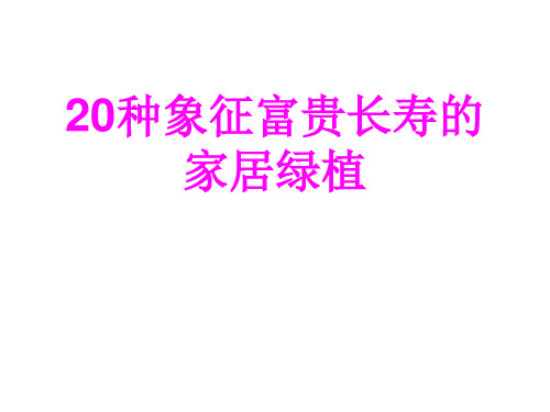 20种象征富贵长寿