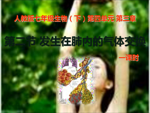人教版七年级下册第三章第二节发生在肺内的气体交换.ppt