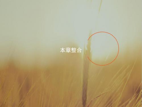 2017-2018学年高二物理选修3-1课件：本章整合3 精品00