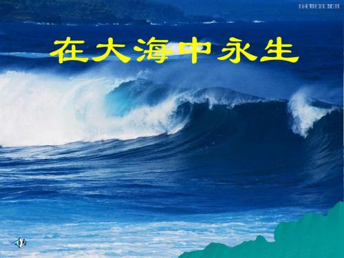 苏教版五上13.在大海中永生