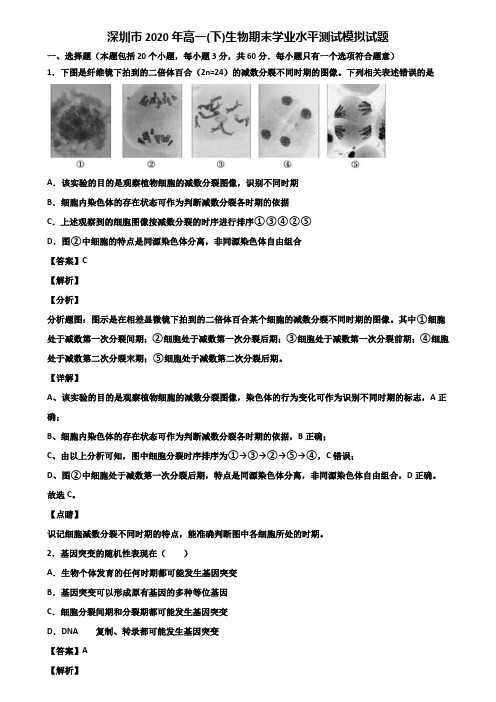 深圳市2020年高一(下)生物期末学业水平测试模拟试题含解析