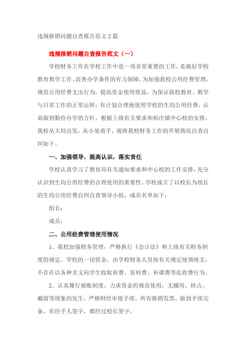 违规报销问题自查报告范文2篇