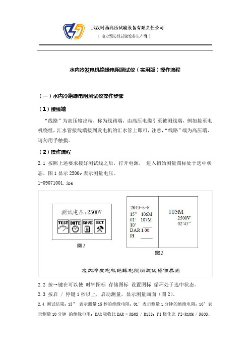 水内冷发电机绝缘电阻测试仪(实用版)操作流程