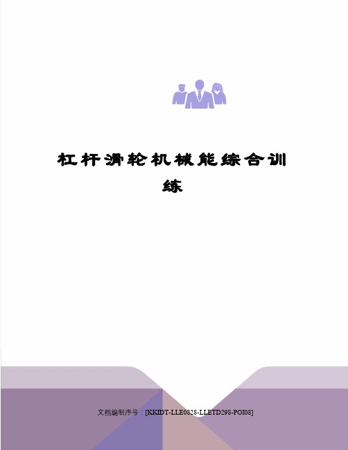 杠杆滑轮机械能综合训练